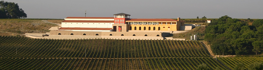 Manuel dos Santos Campolargo