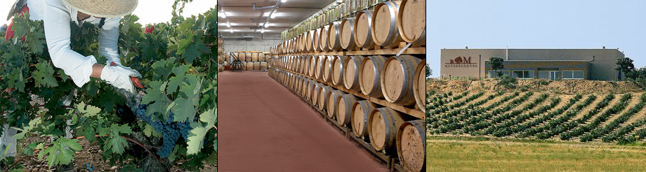 Matarredonda Vinos y Pagos