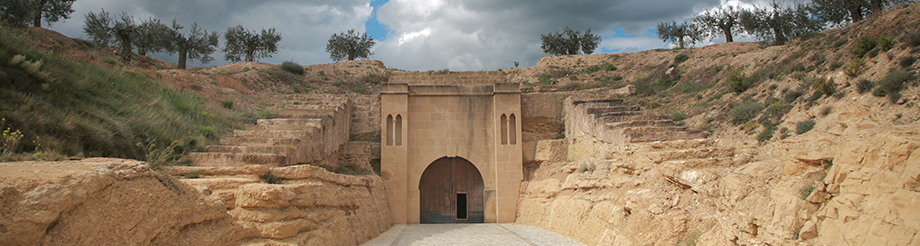 Viñedos de Páganos