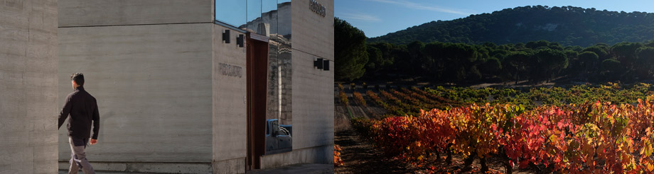 Bodegas Pico Cuadro