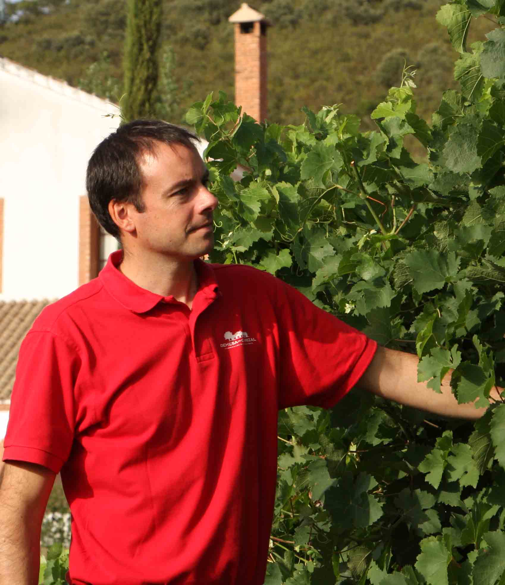 Pierre-Yves Dessèvre