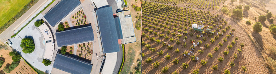 Bodegas y Viñedos Pintia