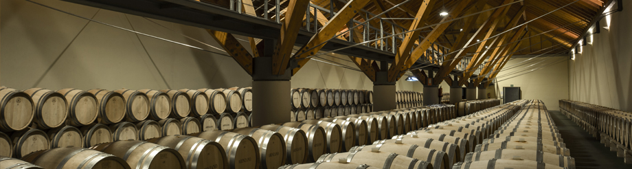 Propiedad de Arínzano