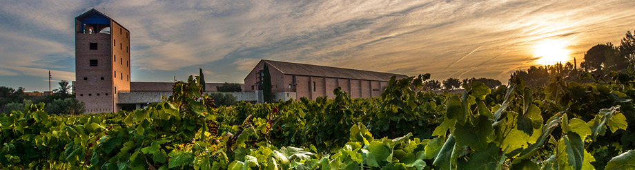 Propietat d’Espiells / Juvé & Camps