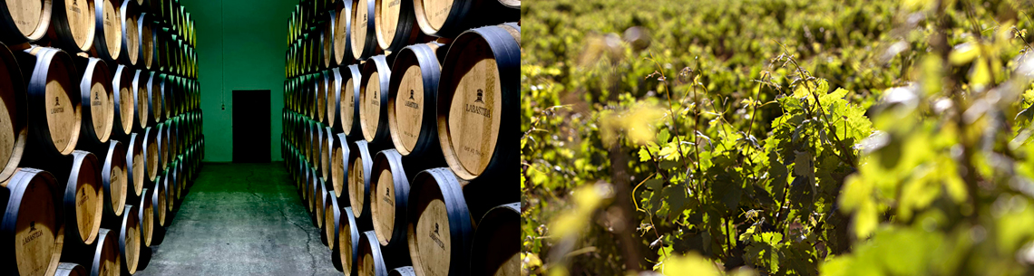 Bodega Manuel Quintano Labastida