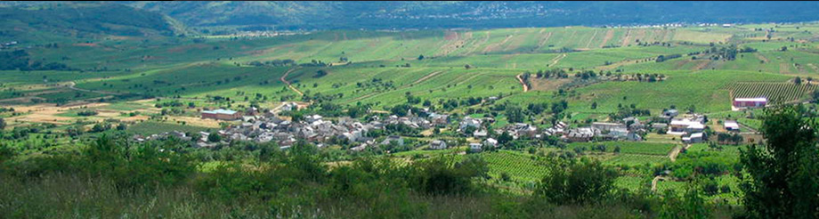 Raúl Pérez Bodegas y Viñedos