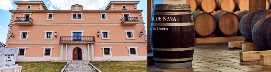 Bodegas Señorío de Nava