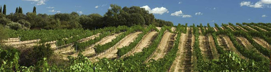 Bodegas Sierra de Guara