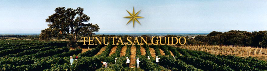 Tenuta San Guido