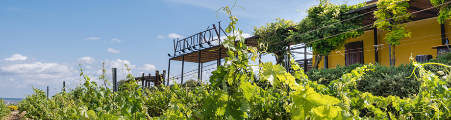 Bodegas Valdubón