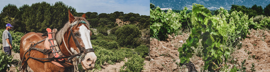 Parajes de los Vidrios