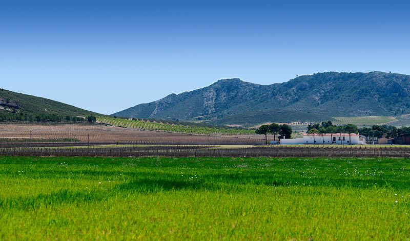 Bodegas Enrique Mendoza