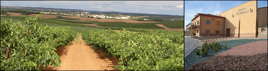 Bodegas Viyuela