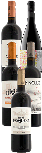 Kollektion Familia Fernández Rivera
 