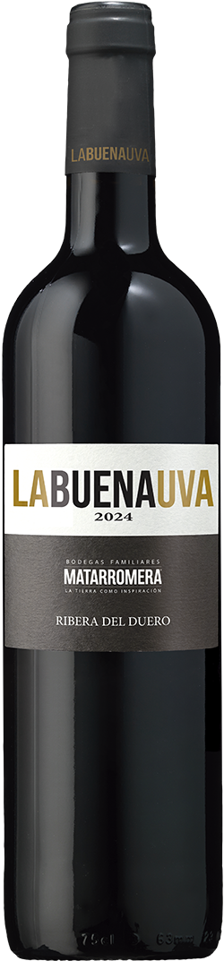 
                    
                        LABUENAUVA 2024 