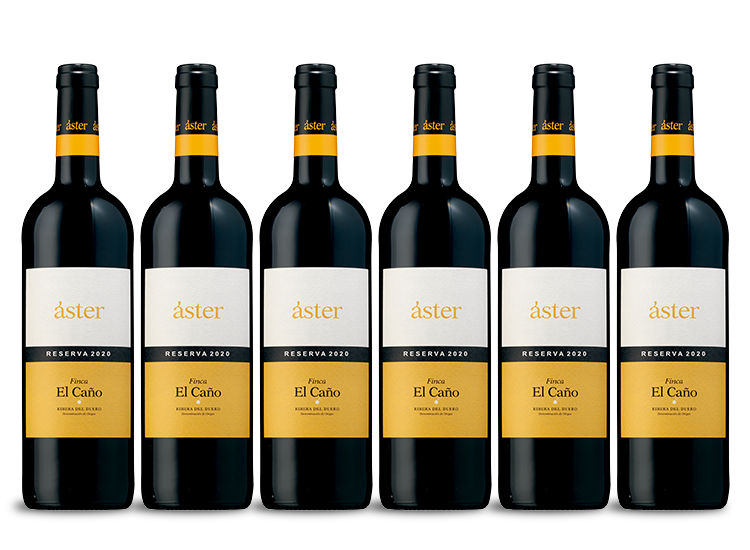 Áster Finca El Caño Reserva 2020