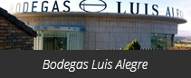 B. Luis Alegre