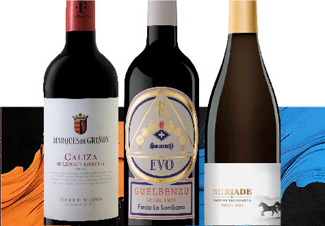 Kollektion Wir wählen Wein aus