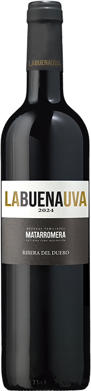 LABUENAUVA 2024